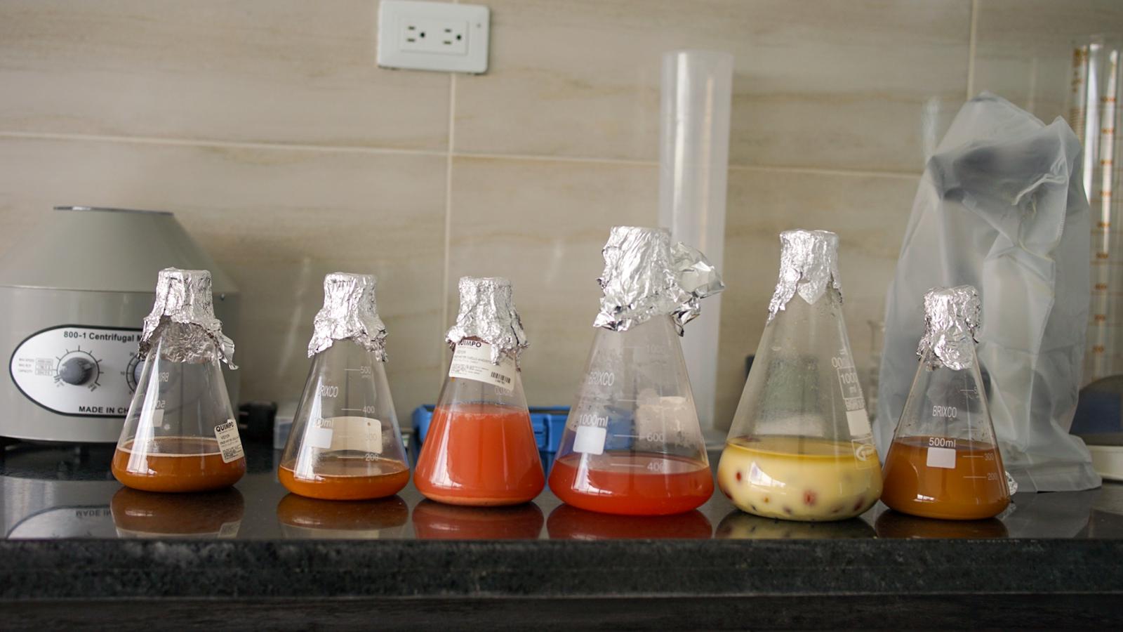 Laboratory Wilton Benitez Laboratory Wilton Benitez