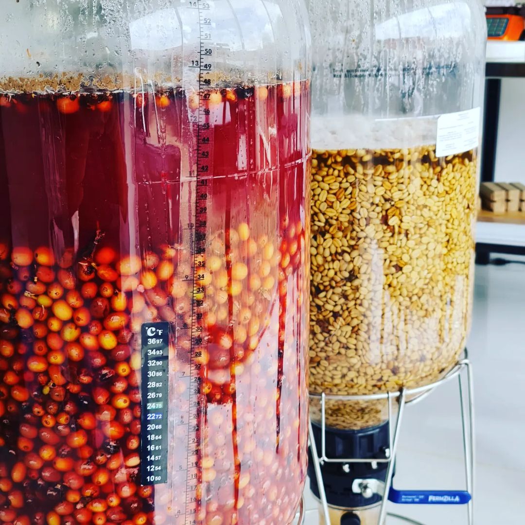Granja Paraiso 92 Controlled Fermentation in bioreactors Granja Paraiso 92 Controlled Fermentation in bioreactors
